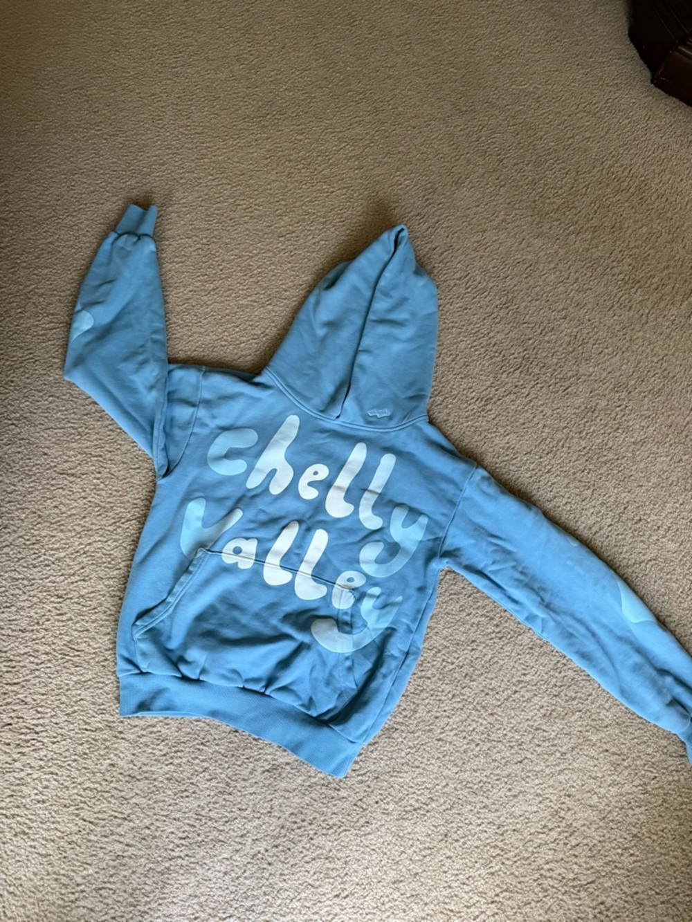 Justin Bieber Skylrk Chelly Valley Coachella Hoodie in Small